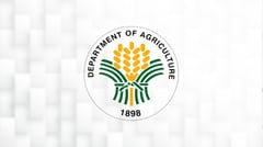 DA pitches agri to global investors at ADB