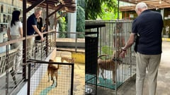 'Fur' the love of Aspins