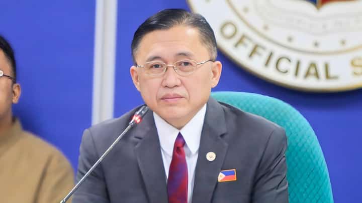 SENATOR Bong Go