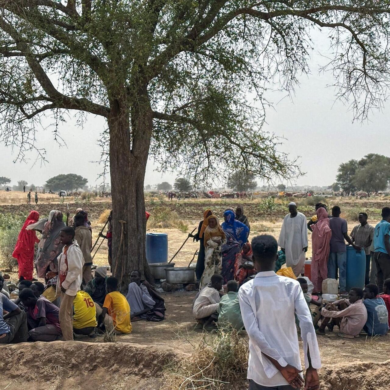 At least 15 die from drone attack 