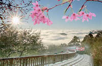 IN a country that could rush, the trains refuse to hurry, a reminder that beauty demands attention.