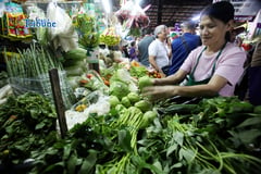 DA sees steady food supply amid oil crisis
