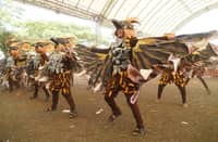 MAYOR Rogelio N. Quino has postponed this year’s Banog-Banog Festival in Manolo Fortich, prioritizing public safety despite last year’s streetdance showcasing the town’s vibrant heritage.