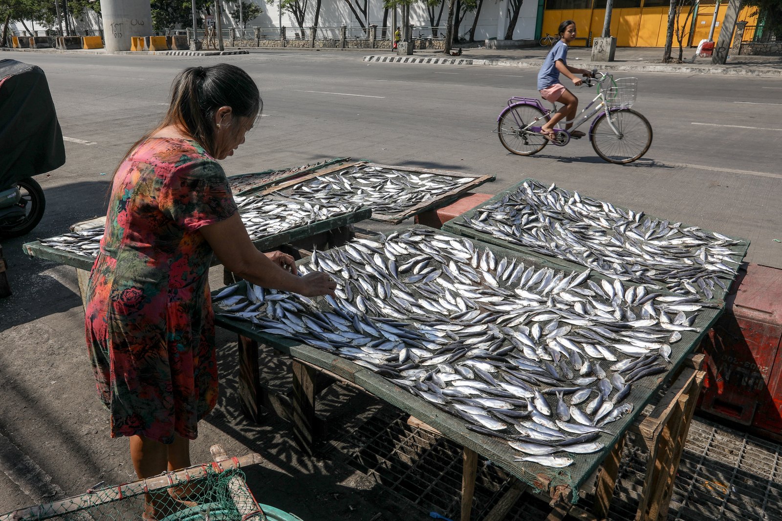 Fishes are seen laid on a net to be dried up for preservation along Road 10, Navotas underneath scorching sun.| Aram Lascano
