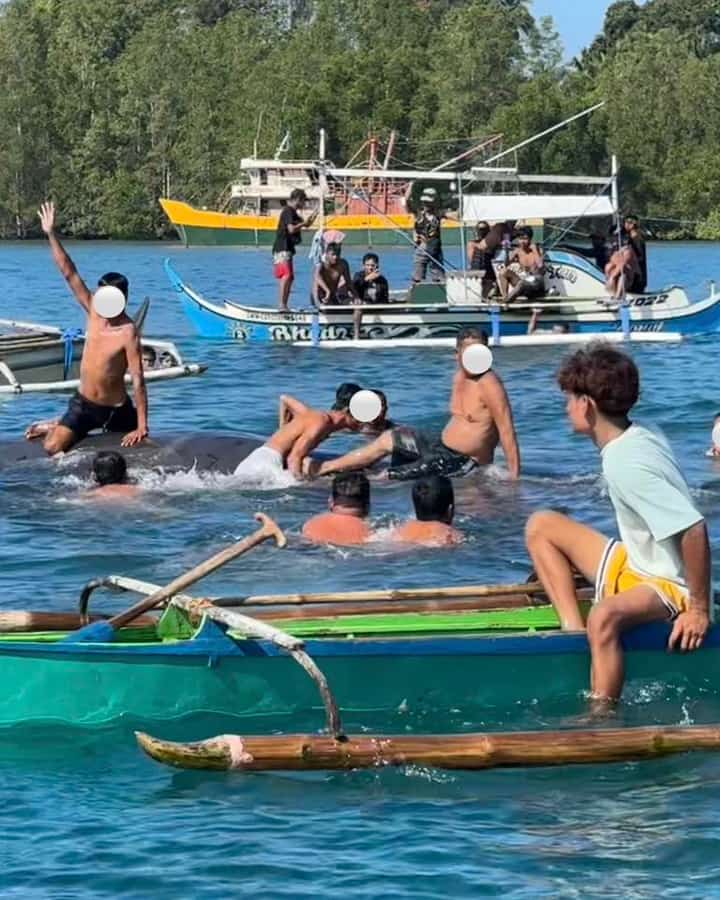 Stranded whale mishandled in Sultan Kudarat, sparks outrage