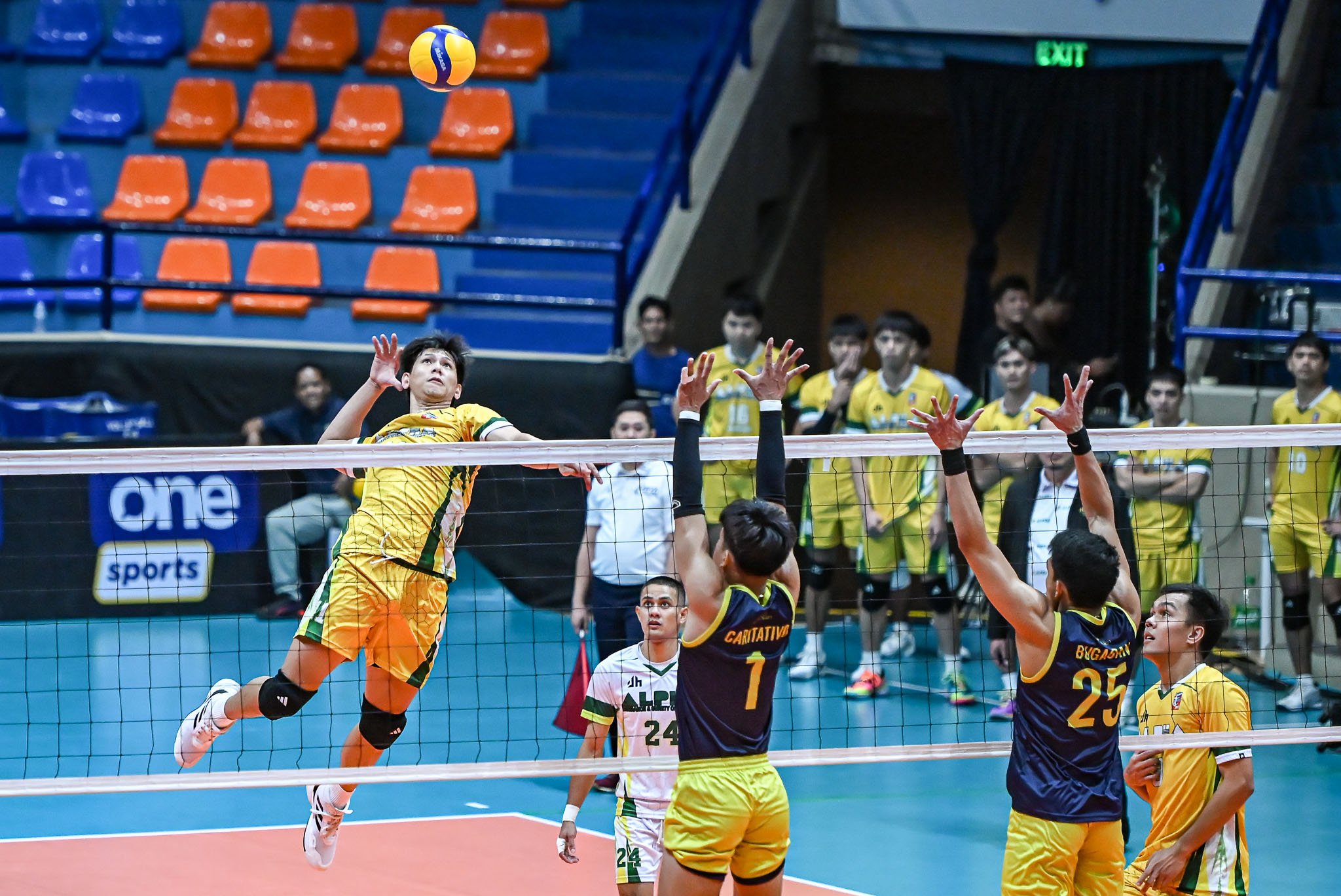 Cabstars, Alpha seek semis momentum