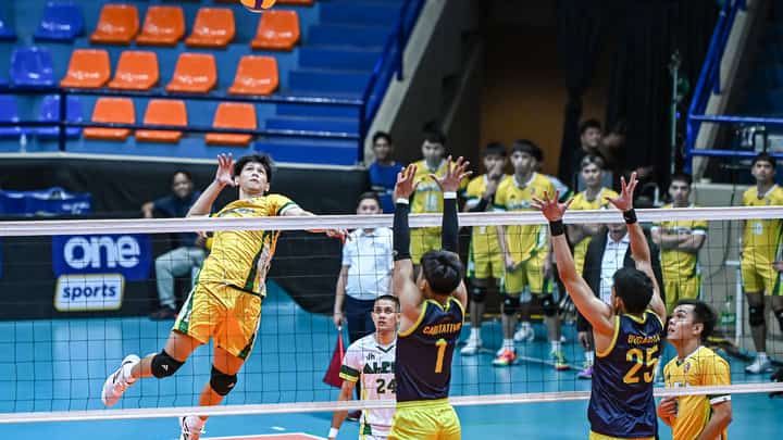 Cabstars, Alpha seek semis momentum