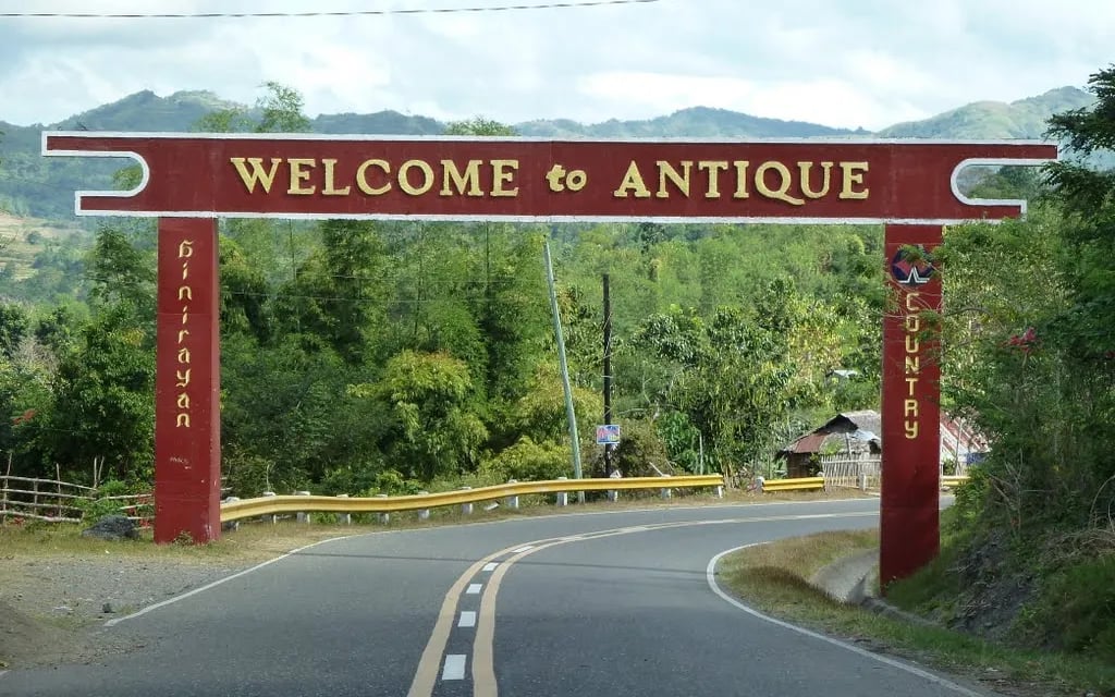 Antique warns of rabies danger from roaming, unvaccinated dogs