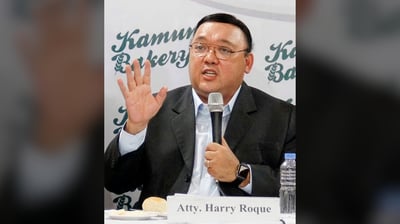 Roque denies land-grabbing allegations as NBI probes Bataan case