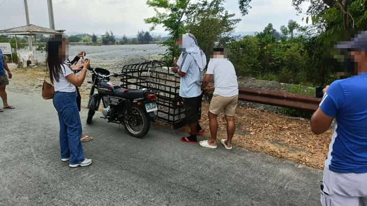 SLI target arrested in Solsona buy-bust operation