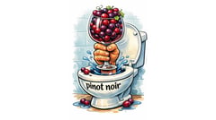 Grape seed in toilet linked to French wine