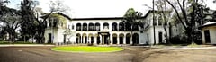 Palace says 4-day workweek extension under review