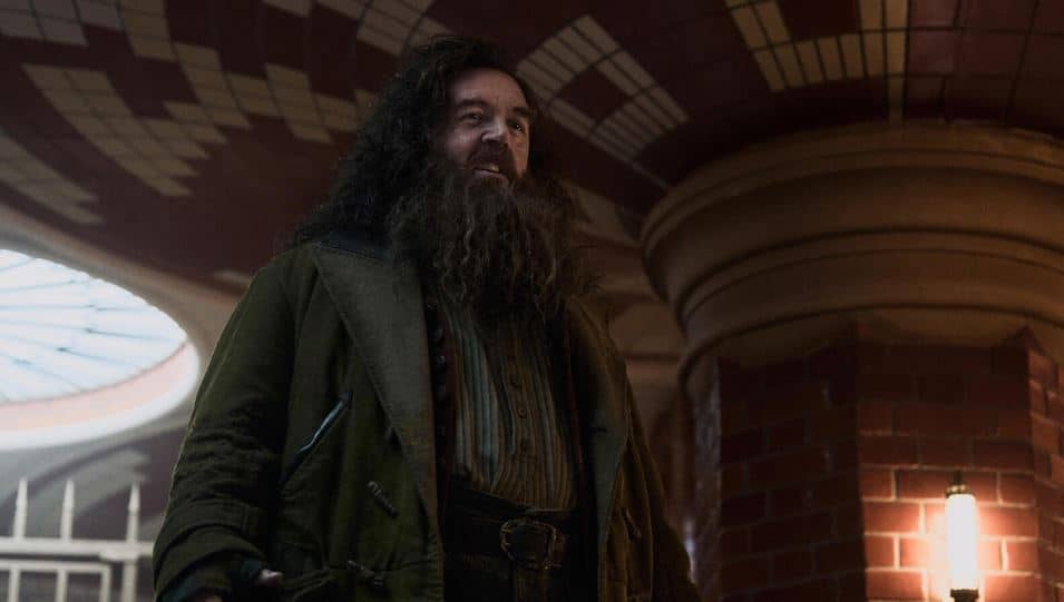 NICK Frost as Rubeus Hagrid.