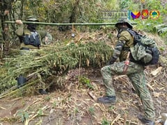 P8.5M drugs seized in Cordillera raids; dealer nabbed