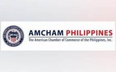 AmCham backs energy emergency, urges reforms

