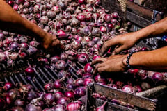 Pangilinan demands names of ‘predatory’ agri traders