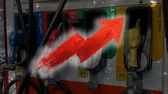 Rising fuel costs drive up Palm Sunday frond prices