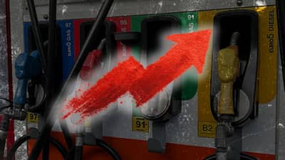 Rising fuel costs drive up Palm Sunday frond prices