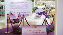 Sleep exhibit highlights rest and recovery