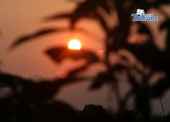 Sunrise looks sunset 