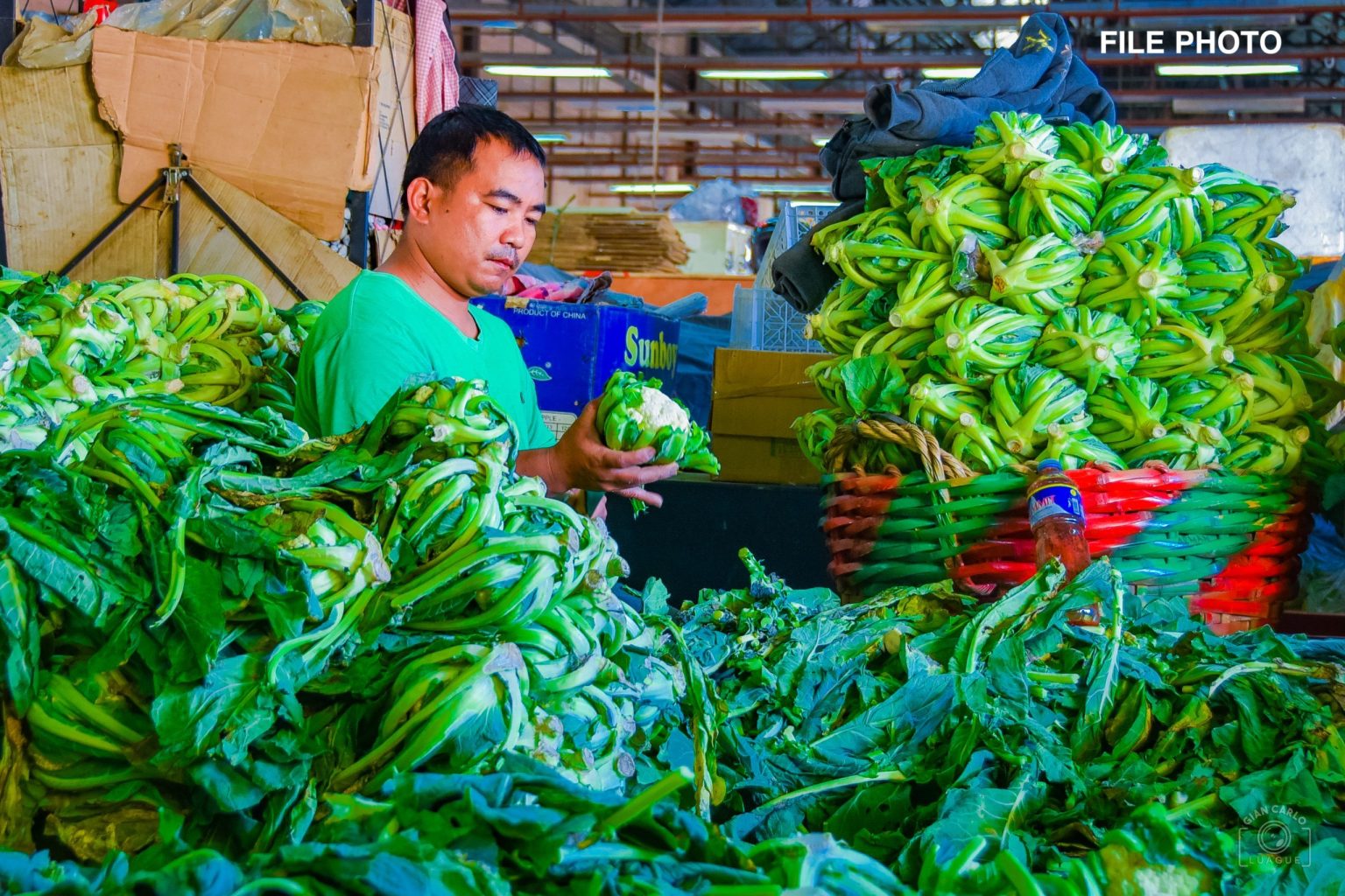 DA mobilizes trucks to rescue surplus harvest