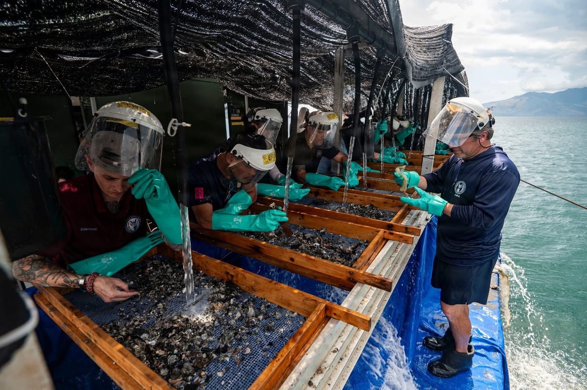 DPAA leadership and staff from the Manila American Cemetery and Memorial joined the 26-1 PH recovery team at an underwater site in the Philippines on 7 March 2026, participating in operations and observing the meticulous work to recover and account for missing U.S. personnel.