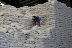 NFA builds bigger rice buffer with new Iloilo hub