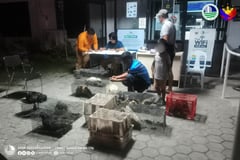 Authorities stop illegal transportation of various wildlife in GenSan