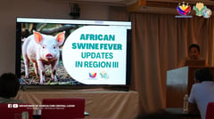  DA Central Luzon reviews Q1 Livestock Banner Program
