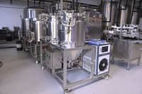 Out of Manila, into the malt: Southern beer oasis emerging