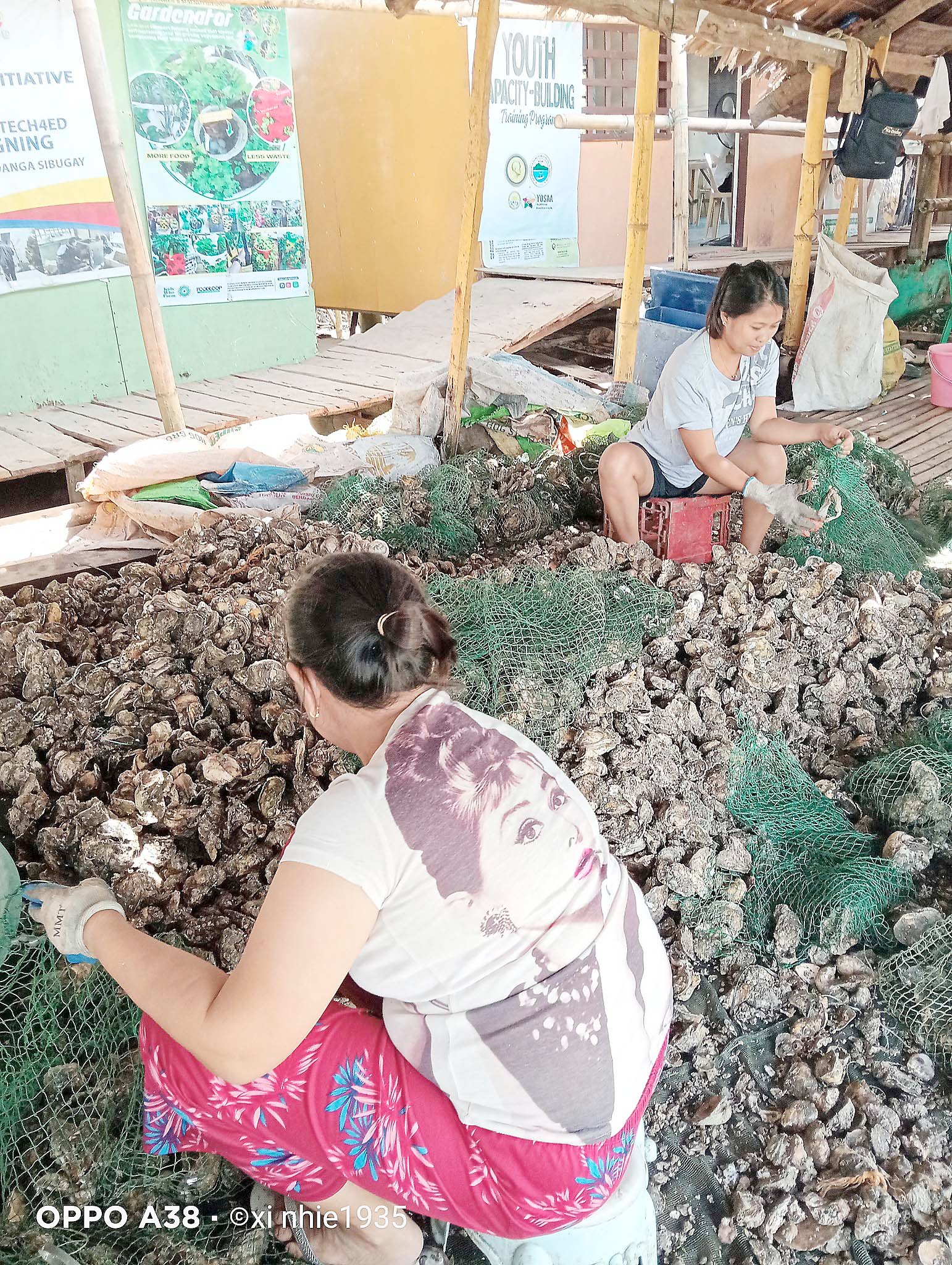 Padayon for mangrove protection: Blue carbon roadmap gives second wind to coastal greenbelt agenda
