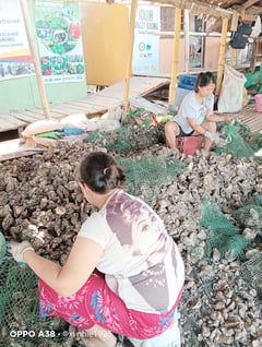 Padayon for mangrove protection: Blue carbon roadmap gives second wind to coastal greenbelt agenda