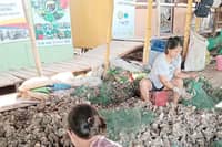 WORKERS sort talaba harvested from mangroves in Barangay Concepcion, Kabasalan, Zamboanga Sibugay.