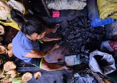 Charcoal prices hike