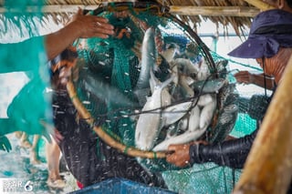CDO approves comprehensive fisheries ordinance