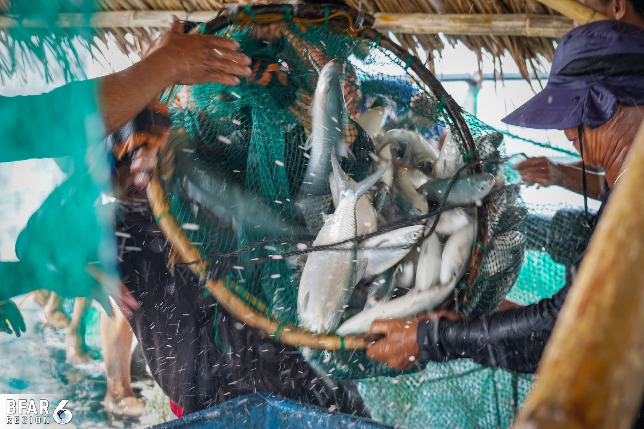 GenSan fishing industry hit by fuel crisis