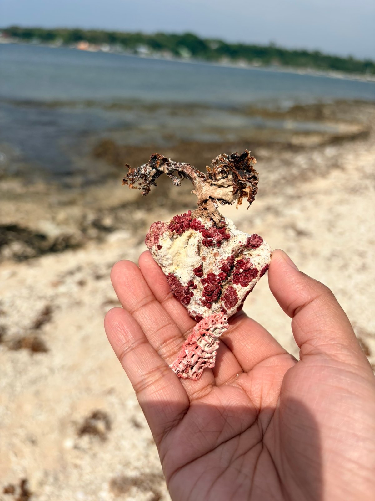 RED corals along the shores of Almeida Watch Tower add a vivid contrast to the coast.