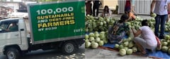 Payatas receives 1 ton of cabbage 