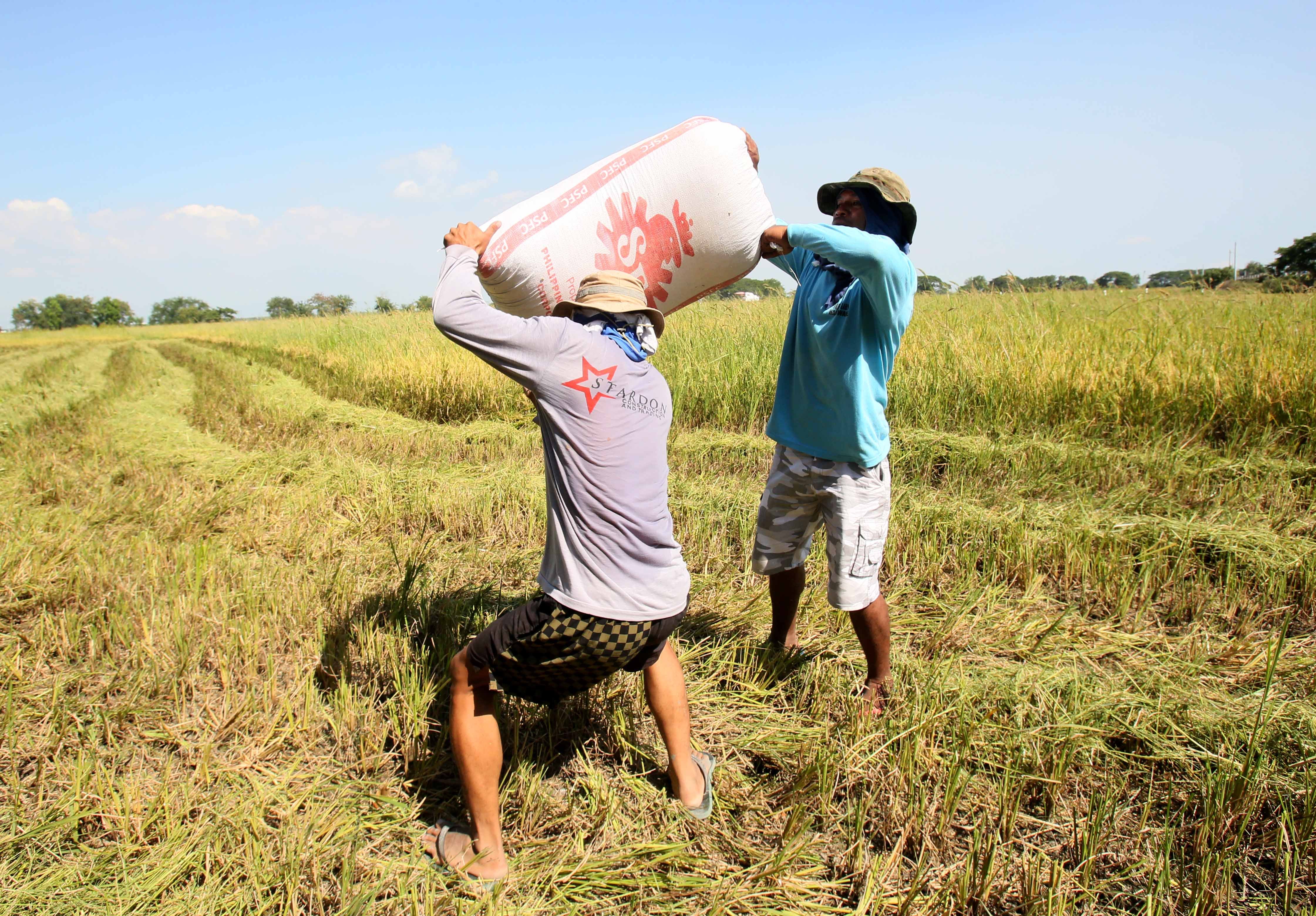 Farmer cuts costs, boosts yield