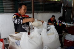 P20-rice expands to Makati, widens Metro reach