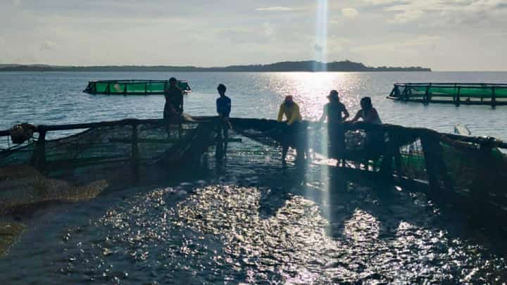 Fuel crisis threatens GenSan fishing industry