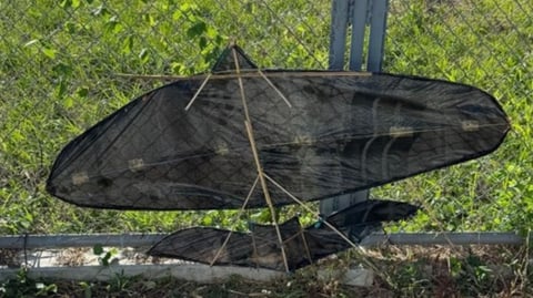 NGCP warns vs kite flying near power lines