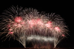 Platinum Fireworks Inc's finale exhibition
