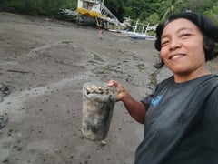 Mangrove watchers matter
