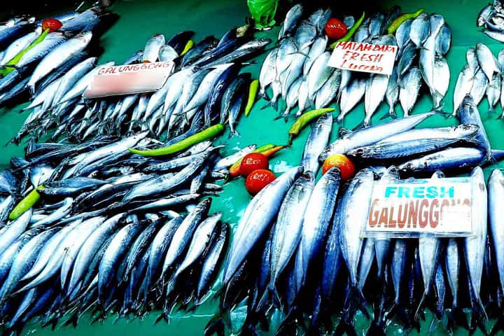 Galunggong landings nearly double in March