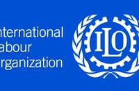 ILO flags limits of AI job exposure data