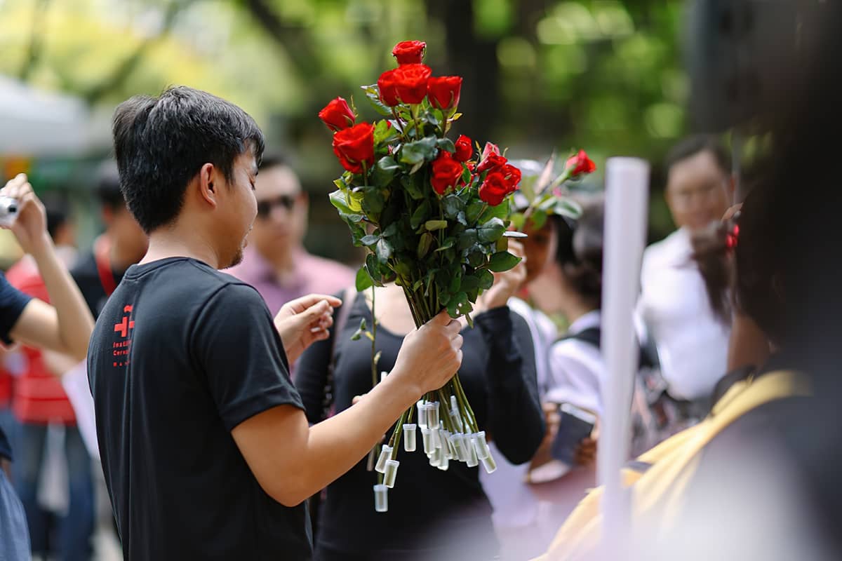 VOLUNTEERS distribute roses — an enduring Día del Libro tradition that pairs books with blooms.