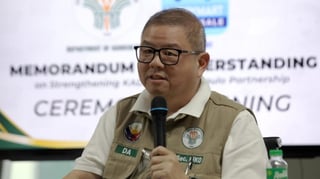 Tiu Laurel pushes ASEAN-India cooperation on food security