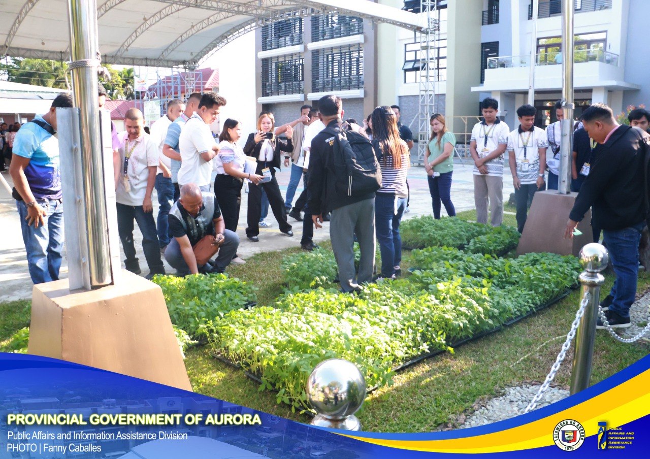 OPAg pushes for 'backyard farming' in Aurora