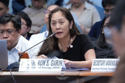 Garin pushes shift to EV, review of Oil Deregulation Law